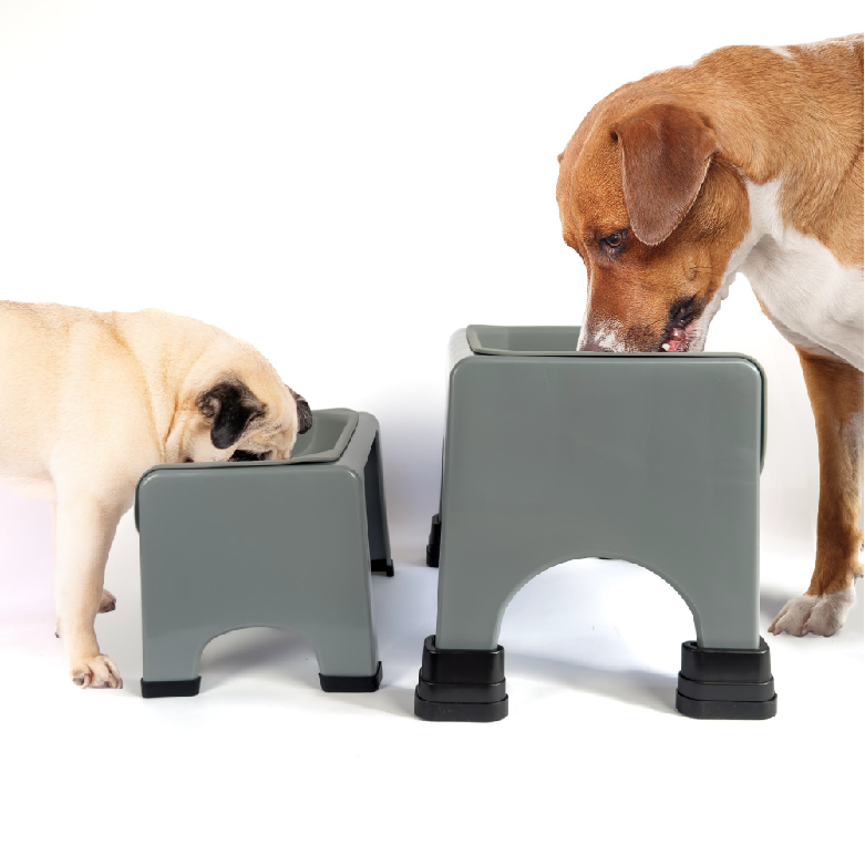 Custom Personalized Elevated Dog Feeder Stand Large Raised Bowls
