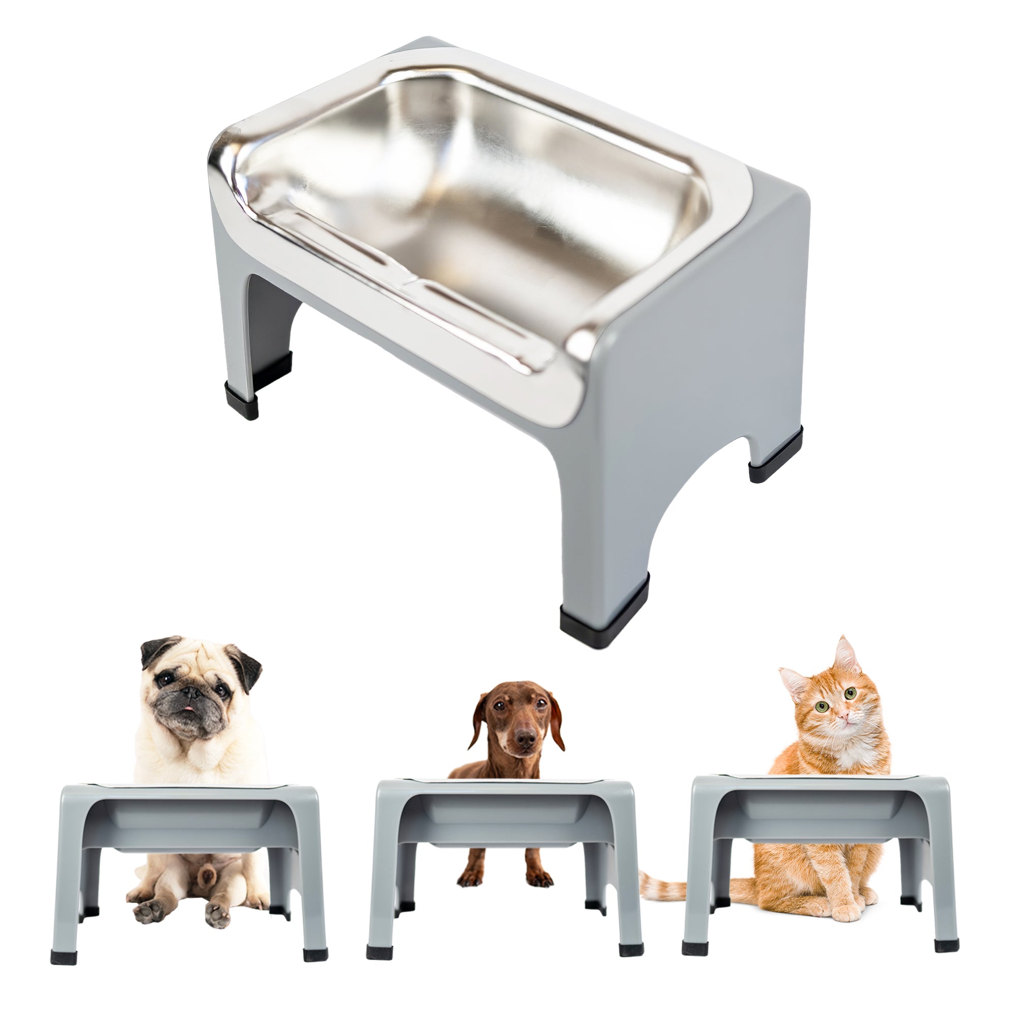 Metal dog water bowl best sale